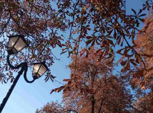 Золота осінь в місті Ніжині (Фото репортаж) фото