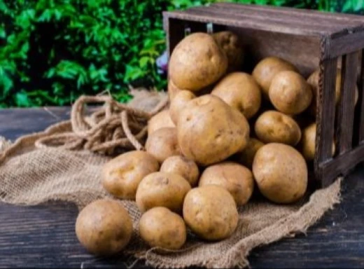 На Чернігівщині зросли ціни на картоплю: у чому причина фото
