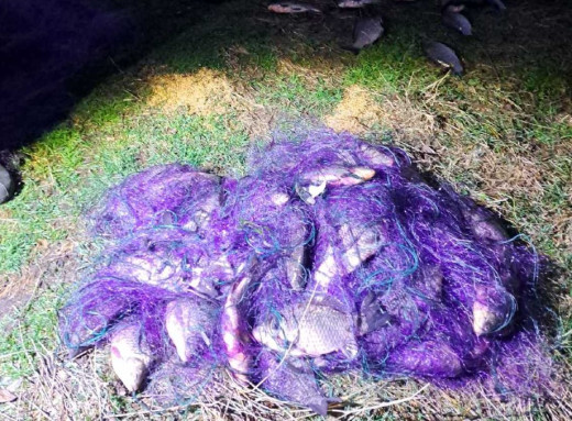 На Чернігівщині браконьєр наловив понад 50 кг риби: збитки державі — 125 тисяч гривень фото