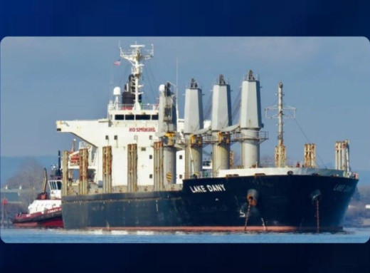 Україна просить Ізраїль арештувати судно PANORMITIS із зерном з окупованих територій фото