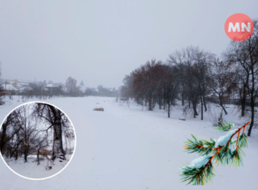 Зимовий засніжений Остер – фотопідбірка фото