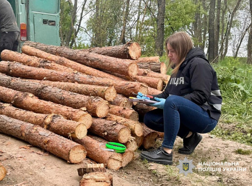 На Чернігівщині викрили групу «чорних лісорубів», які завдали шкоди на понад 800 тисяч гривень фото На Чернігівщині викрили групу «чорних лісорубів», які завдали шкоди на понад 800 тисяч гривень фото