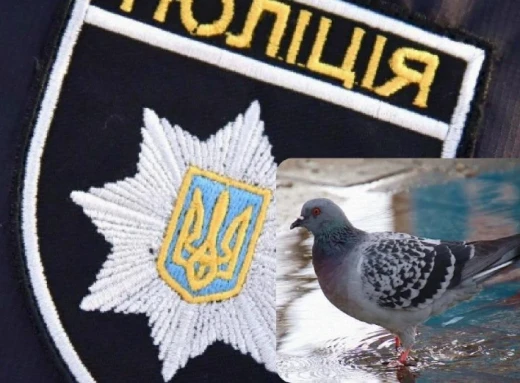 Жорстоко убив голуба: підлітку з Чернігова світить реальний термін  фото