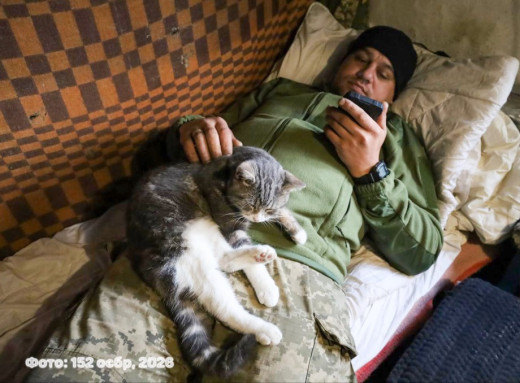 Тиша поруч: як тварини підтримують воїнів на війні фото