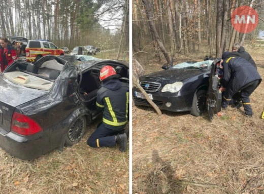 Батьки загинули, а 10-річна дівчинка вибралася: на Чернігівщині на авто впало дерево фото