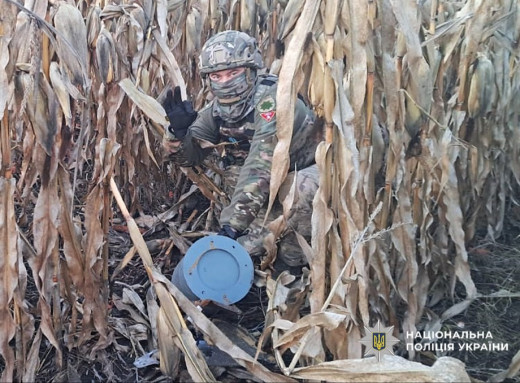 На Ніжинщині вибухотехніки знешкодили боєприпаси ворожих БпЛА фото