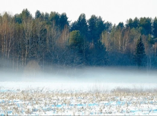 Гороскоп для всіх знаків Зодіаку 9-10 грудня фото