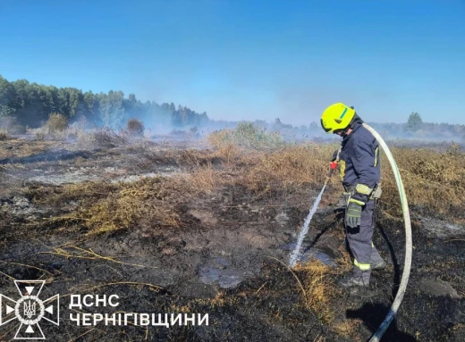 На Чернігівщині продовжують ліквідацію пожежі торфу — ГУ ДСНС Чернігівської області фото