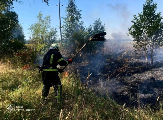На Чернігівщині рятувальники за тиждень ліквідували 56 пожеж і знищили 26 вибухонебезпечних предметів фото На Чернігівщині рятувальники за тиждень ліквідували 56 пожеж і знищили 26 вибухонебезпечних предметів фото