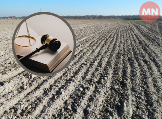 Суд повернув державі майже гектар лісових земель на Чернігівщині фото