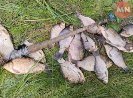 Риболовля вартістю майже 24 тисячі гривень: на Чернігівщині затримали браконьєра фото