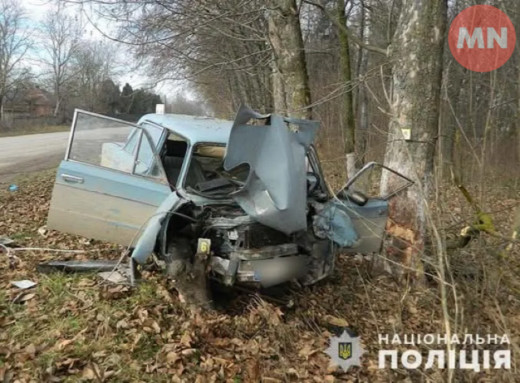 Зіткнувся з деревом: на Ніжинщині сталася ДТП фото