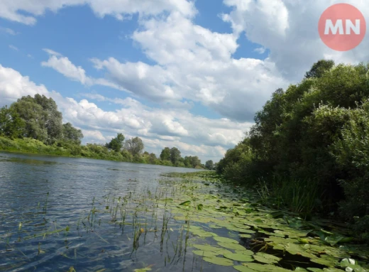 На Чернігівщині у Сеймі заборонили купатися: що трапилося фото