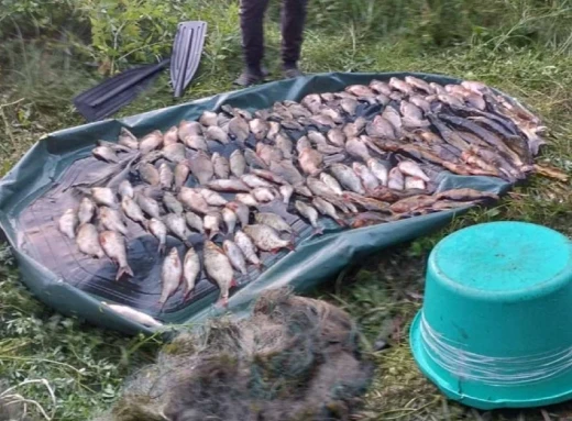 Мешканець Батурина наловив риби на кругленьку суму: скільки заплатить браконьоєр фото