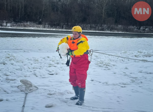 У Чернігові рятувальники визволили лебедя з крижаної пастки  фото