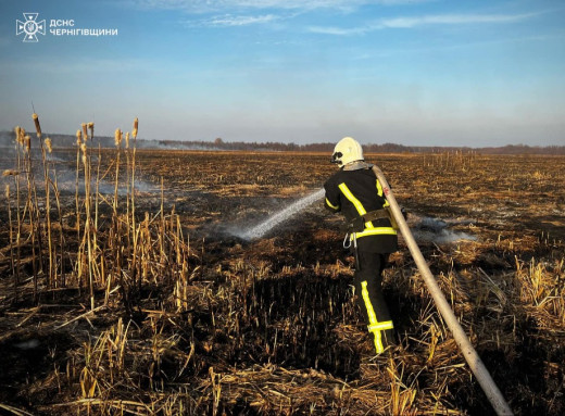 На Чернігівщині за добу сталося дев’ять пожеж: рятувальники назвали основні причини фото