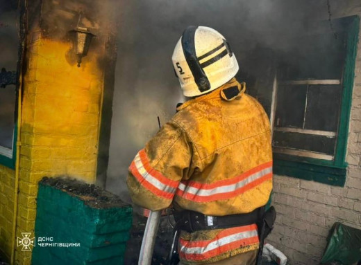 На Чернігівщині за добу сталося 11 пожеж, більшість – в екосистемах фото