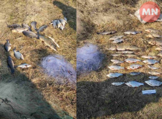 На Чернігівщині браконьєр наловив риби на майже 50 тисяч гривень фото
