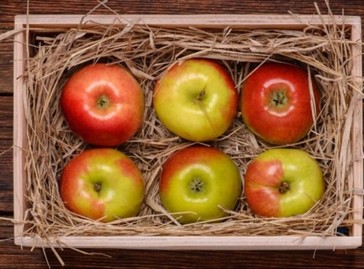 Як зберегти свіжі яблука до самої весни фото