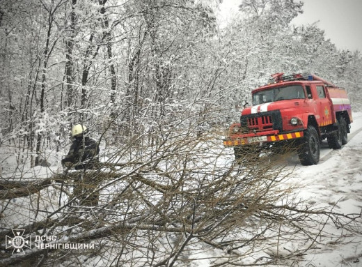 Вогнеборці ДСНС ліквідували на Чернігівщині три пожежі за добу: боротьба з наслідками від негоди фото