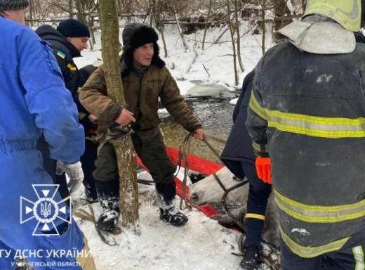На Чернігівщині рятувальники дістали коня з річки фото