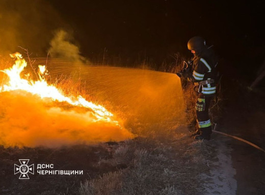 На Чернігівщині за добу сталося 44 пожежі: згоріло близько 60 гектарів фото