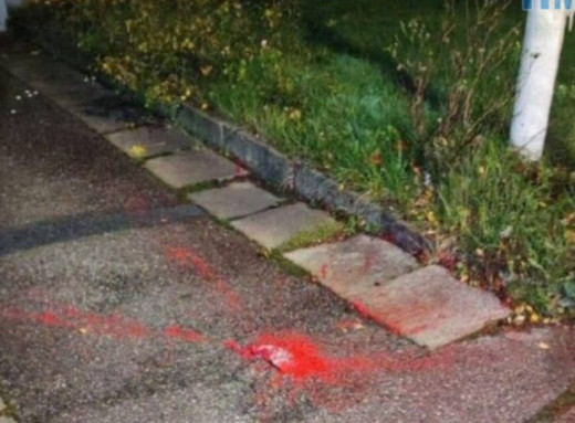 У Швеції дрон атакував фарбою віллу російської делегації фото