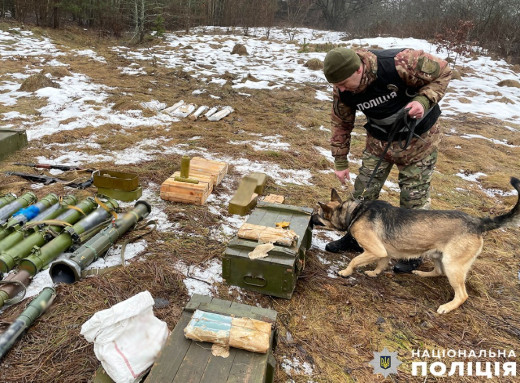 На Чернігівщині виявили масштабні схрони зброї: гранатомети, автомати, боєприпаси фото