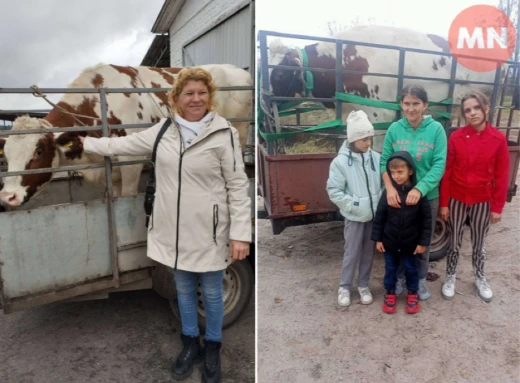 Молочні нетелі для багатодітних родин: як Чернігівщина підтримує сім’ї та фермерство фото