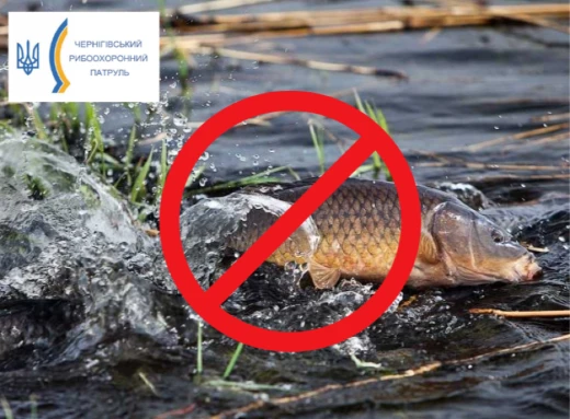 На Чернігівщині розпочинається нерестова заборона на вилов водних біоресурсів: подробиці фото