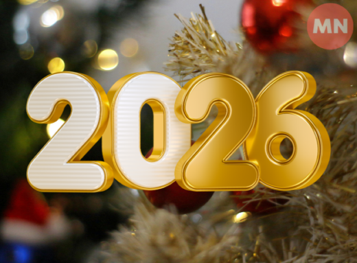 Ялинка 2026: які кольори та декор обрати у рік Вогняного Коня фото