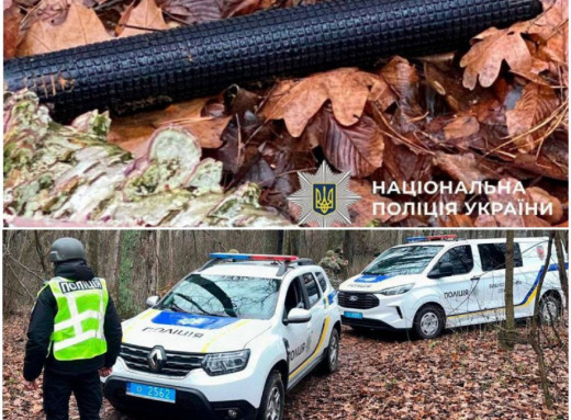 У лісі в Києві виявили уламки дрона з вибухівкою фото
