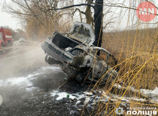 На Ніжинщині сталася смертельна аварія: авто загорілося після зіткнення з деревом фото