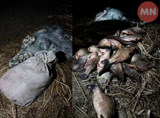 На Чернігівщині чоловік наловив карасів сіткою на 49 тисяч гривень збитків фото