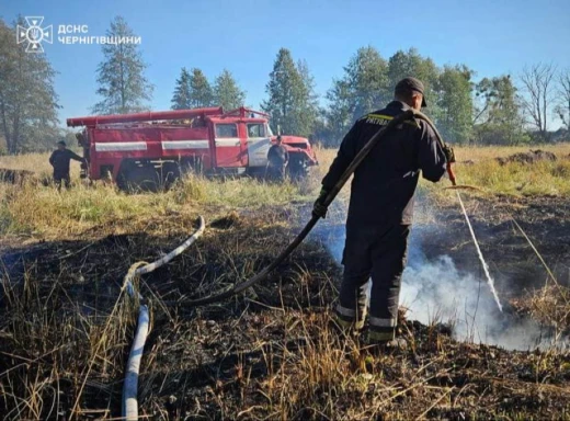 Залишилося 20 гектарів: на Чернігівщині досі триває боротьба із займання торфовищ фото