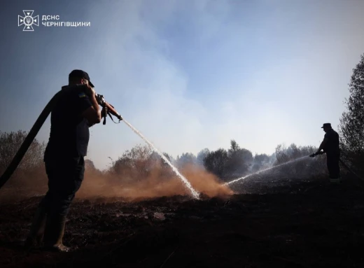 Вогнеборці ліквідували на Чернігівщині за тиждень 141 пожежу: подробиці фото