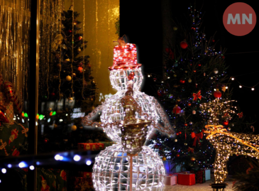 Перший сніг 2025-го і новорічний настрій: як Ніжин зустрічає зиму фото