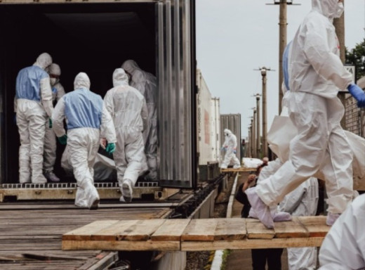 МВС: під час репатріацій в Україну передали тіла російських військових, змішані з українськими фото МВС: під час репатріацій в Україну передали тіла російських військових, змішані з українськими фото