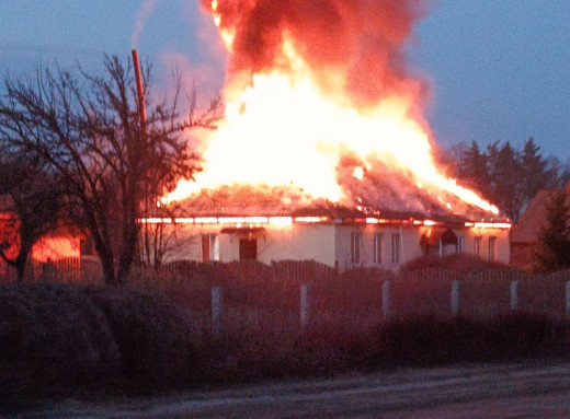 На Чернігівщині горить Костобобрівське лісництво після масованої атаки FPV-дронів фото