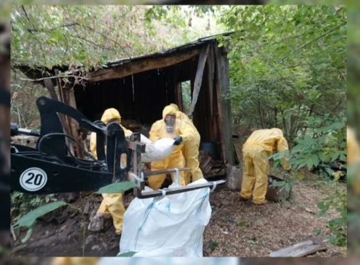 На Чернігівщині знешкодили 7 тонн пестецидів: обсяги будуть зростати фото