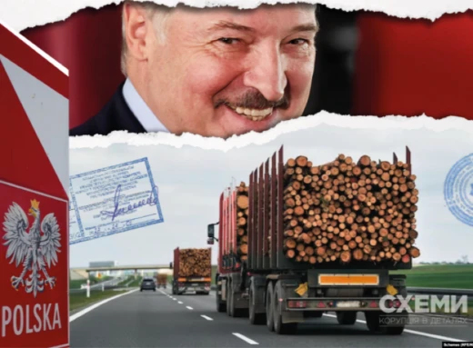 Польща в обхід санкцій купує деревину з Білорусі: розслідування "Схем" фото