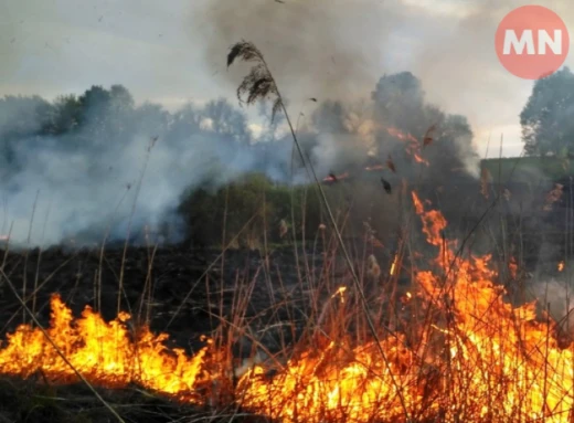 На Чернігівщині майже 500 пожеж з початку року: статистика ДСНС фото