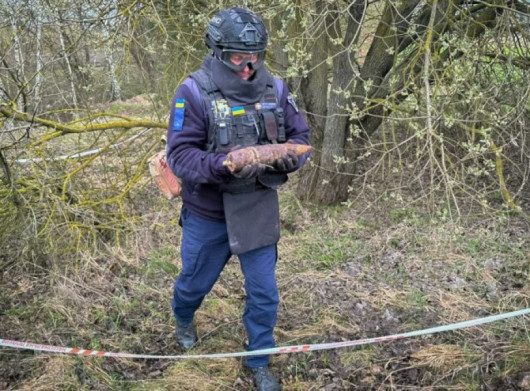 В селі на Чернігівщині знайшли артилерійський снаряд часів Другої світової