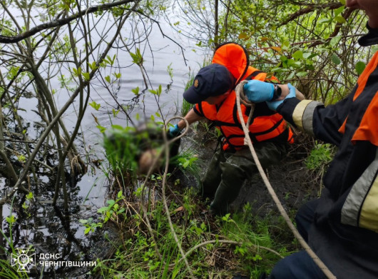 На Чернігівщині у затоці Дніпра виявили тіло чоловіка