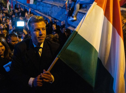 Зеленський привітав Петера Мадяра після перемоги "Тиси" на виборах в Угорщині