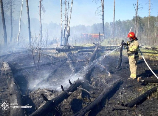 На Чернігівщині виявили тіло жінки під час гасіння пожежі сухої трави