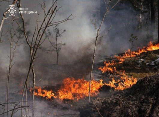 У зоні відчуження масштабна пожежа охопила понад 1100 гектарів лісу