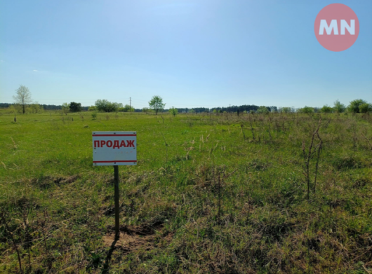 Купують активно, продають дешево: Чернігівщина посіла друге місце за кількістю угод із землею