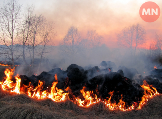 На Ніжинщині за добу сталося дві пожежі: горіла будівля та суха трава