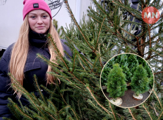 Ялинковий ярмарок у Ніжині: ціни, графік, фото